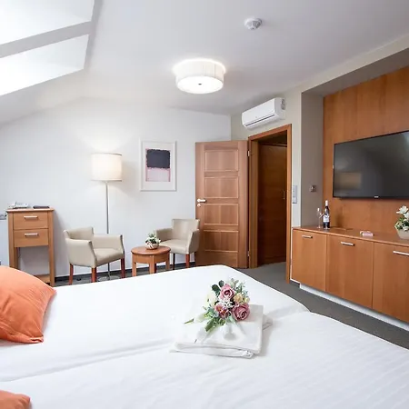Hotel Pod Vezi 3*