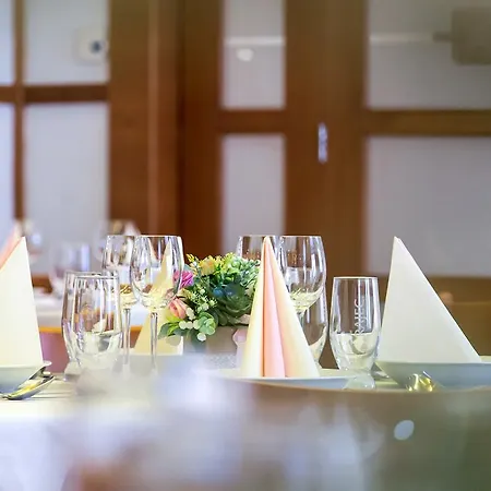 Pod Vezi Hotel Strážnice