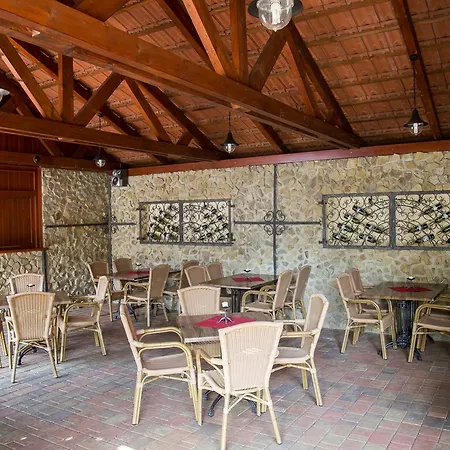 Pod Vezi Hotel