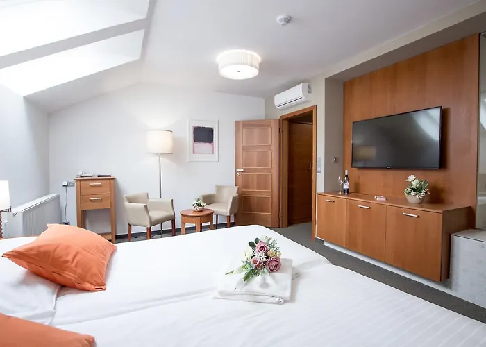 Hotel Pod Vezi 3*