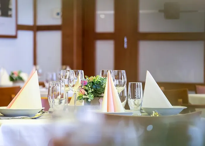 Pod Vezi Hotel Strážnice