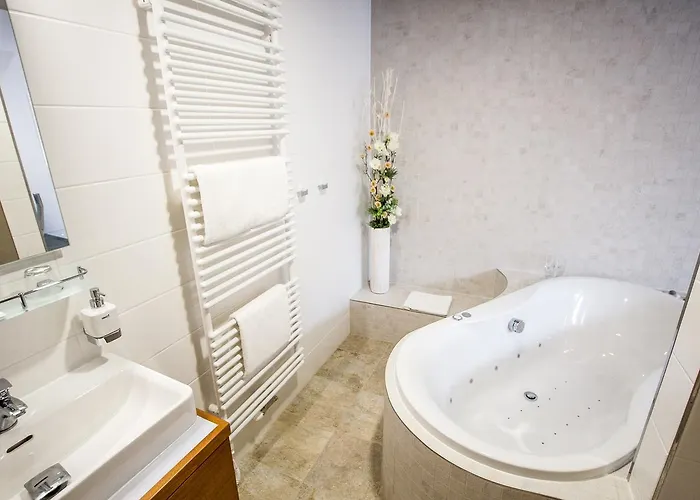 Hotel Pod Vezi